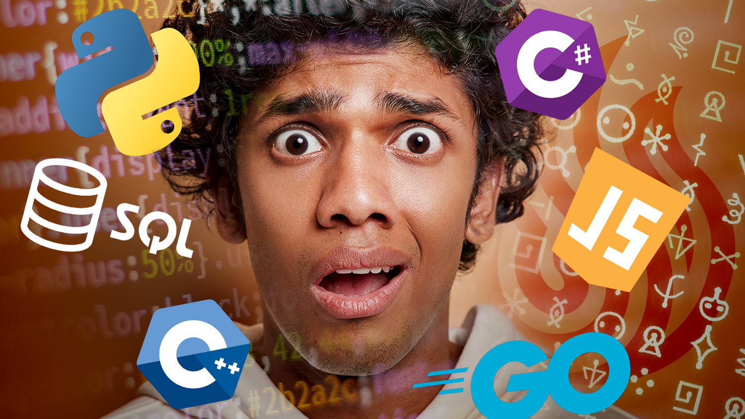 Programming enthusiast deciding on the best programming languages to learn.